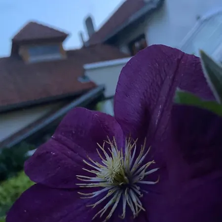 Herberg Zum Mohrn 3*