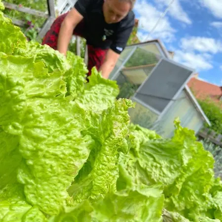 Estalagem Zum Mohrn 3*