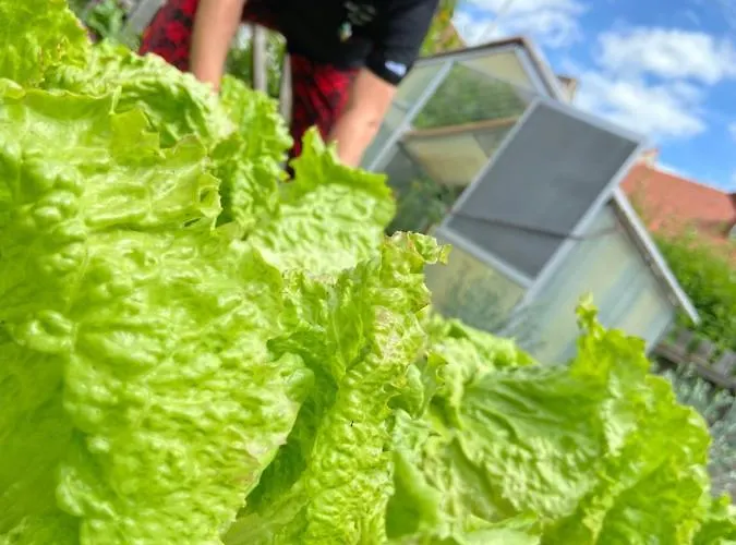 بيت ريفي Zum Mohrn 3*