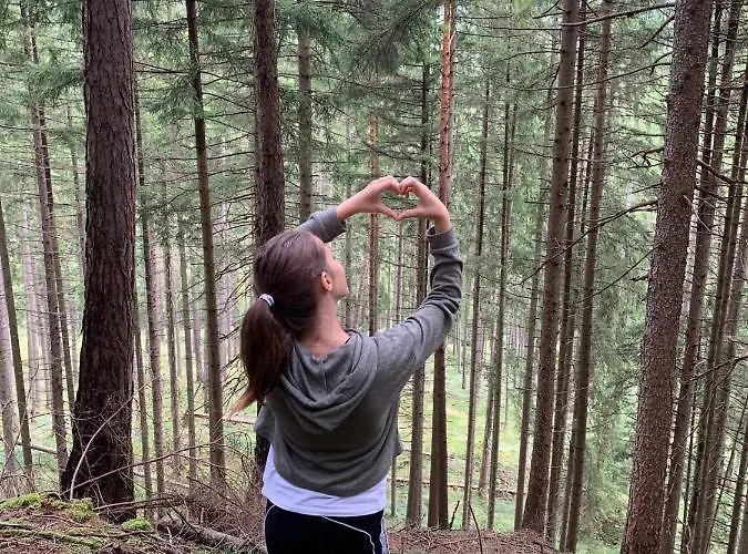 Zum Mohrn بيت ريفي